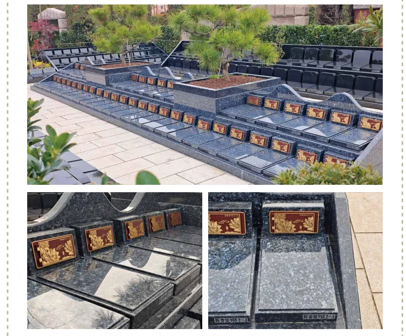 上海树葬/草坪葬奉贤海湾树葬产品实景图